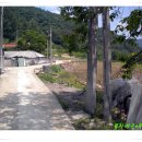 새터농로 이미지