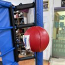 전일 복싱클럽 이미지