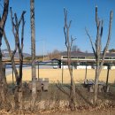 한국조리박물관 이미지