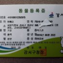 우리집앞동물병원 이미지