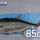 어부참치