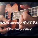 Besame Mucho / Ukulele Busking 이미지