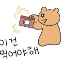 고씨네꺼먹돼지 이미지