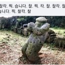 제주두리 이미지