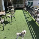 도봉-도봉-2048 이미지