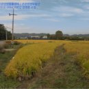 이반성면-1 이미지