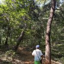 우물골작은도서관 이미지