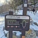 [강원인제]국내 겨울여행지 추천! 인제 자작나무숲 포토후기&amp;등산꿀팁