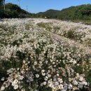 북내면행정복지센터 이미지