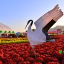남포인조축구장 네이버블로그
