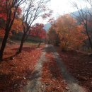 토월펜션 이미지