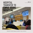 풍진식당 | 26주차 이대서울병원 산부인과 전원 방법ᅵ온라인 예약 과정+김수정교수님 후기(자궁경부길이 짧은산모)