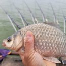 힐링낚시터 이미지