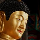 선원사 약사전 이미지