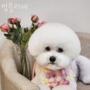 멍뜰리에 이미지