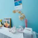 파인드 핏 이미지