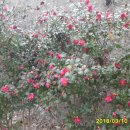 구포 지하철역 이미지