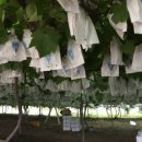 순성농장 이미지