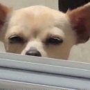 씨유 시흥검바위본점 | 2025.12