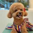 메모리멍 이미지