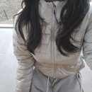 페더다운 | 겨울 데일리로 입기 좋은 경량패딩 추천 페더다운 패딩 후기