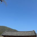 천은사 - 1455 | 천은사