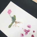 보테니컬 아트 이미지