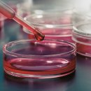 (주)시너지이노베이션 이미지