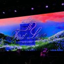 그로부터 1년이군요🌻 이미지