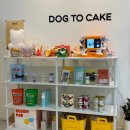 도그투케이크 이미지