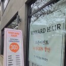 빈야드헤어