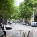 버스정류장 06-252 | [2025 호주] 7박 10일 호주 여행기 06 [멜버른/젯스타/시드니/써큘러키/하버브릿지/오페라하우스...