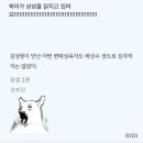 동감이야 이미지