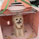 와들스 케이크 이미지