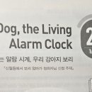 우리강아지(My Dog) 이미지