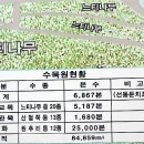 나무고아원 이미지