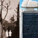 동화약방 이미지