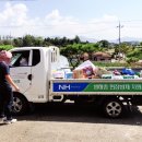 영암하나로클럽 이미지