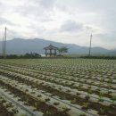 산호농장 이미지