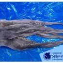 대왕수산 이미지