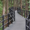 바나나콩 - 용인시 기흥구 평촌2로1번길 19 | 바나나콩