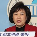 김순례