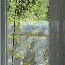 동아펜션 이미지