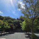 복골캠핑장 이미지