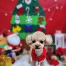 아이러브멍 이미지