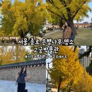 은행파출소 | [종로/삼청동] '고궁박물관 은행나무' 종로 은행나무 명소 추천, 서울 은행나무 핫플