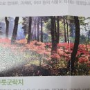 성남 신구대학교 식물원 답사기 2021.8.26(목) (걸산회)고교3인 모임 이미지