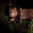 GIANT&PLAY ZONE 이미지