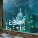 동화유치원.색동어린이집 | 부천 웅진플레이 아쿠아리움 입장요 할인 주차 아이랑 가볼만한곳