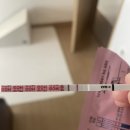 [대전] 미즈제일여성병원 (임신초기-계류유산-소파술후기)